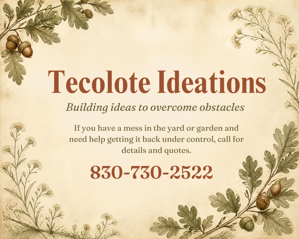 Call Tecolote Ideation 8307302522